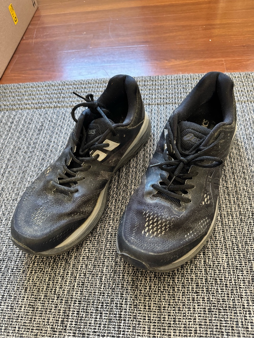 Men's Asics GT-2000 9, Carrier Grey/Black, 12 D Medium